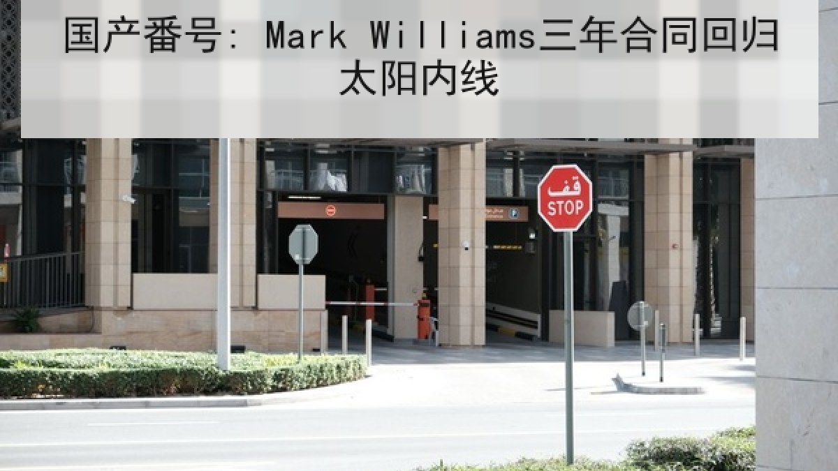国产番号: Mark Williams三年合同回归太阳内线