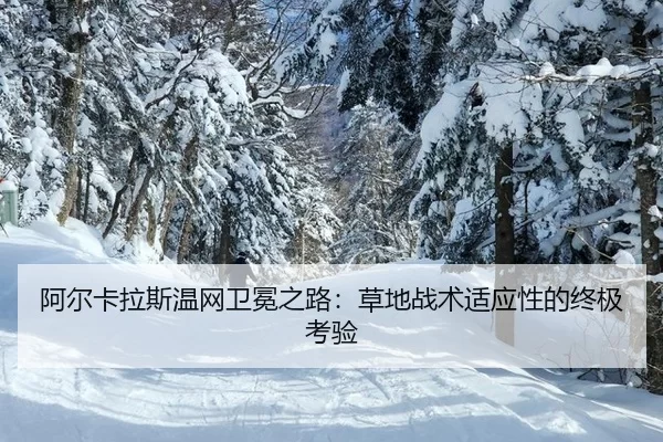 a-er-ka-la-si-wen-wang-wei-mian-zhi-lu-cao-di-zhan-shu-shi-ying-xing-de-zhong-ji-kao-yan-3-439.jpg