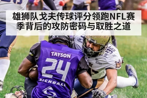 雄狮队戈夫传球评分领跑NFL赛季背后的攻防密码与取胜之道