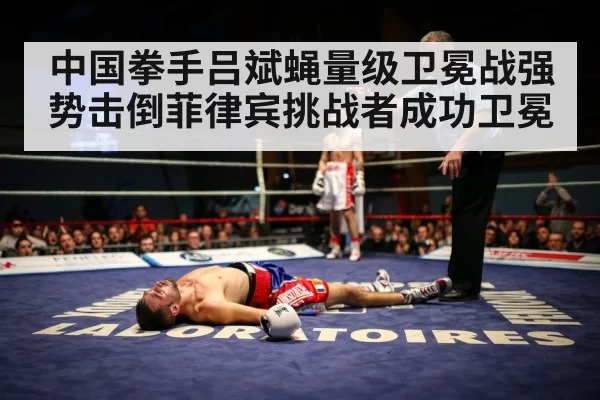 boxer knockout
